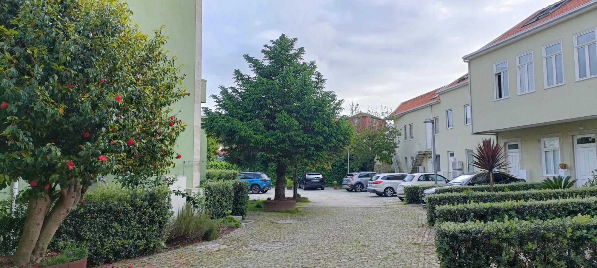 Secret Camoes Daire Porto Dış mekan fotoğraf
